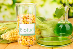 Strode biofuel availability