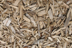 biomass boilers Strode